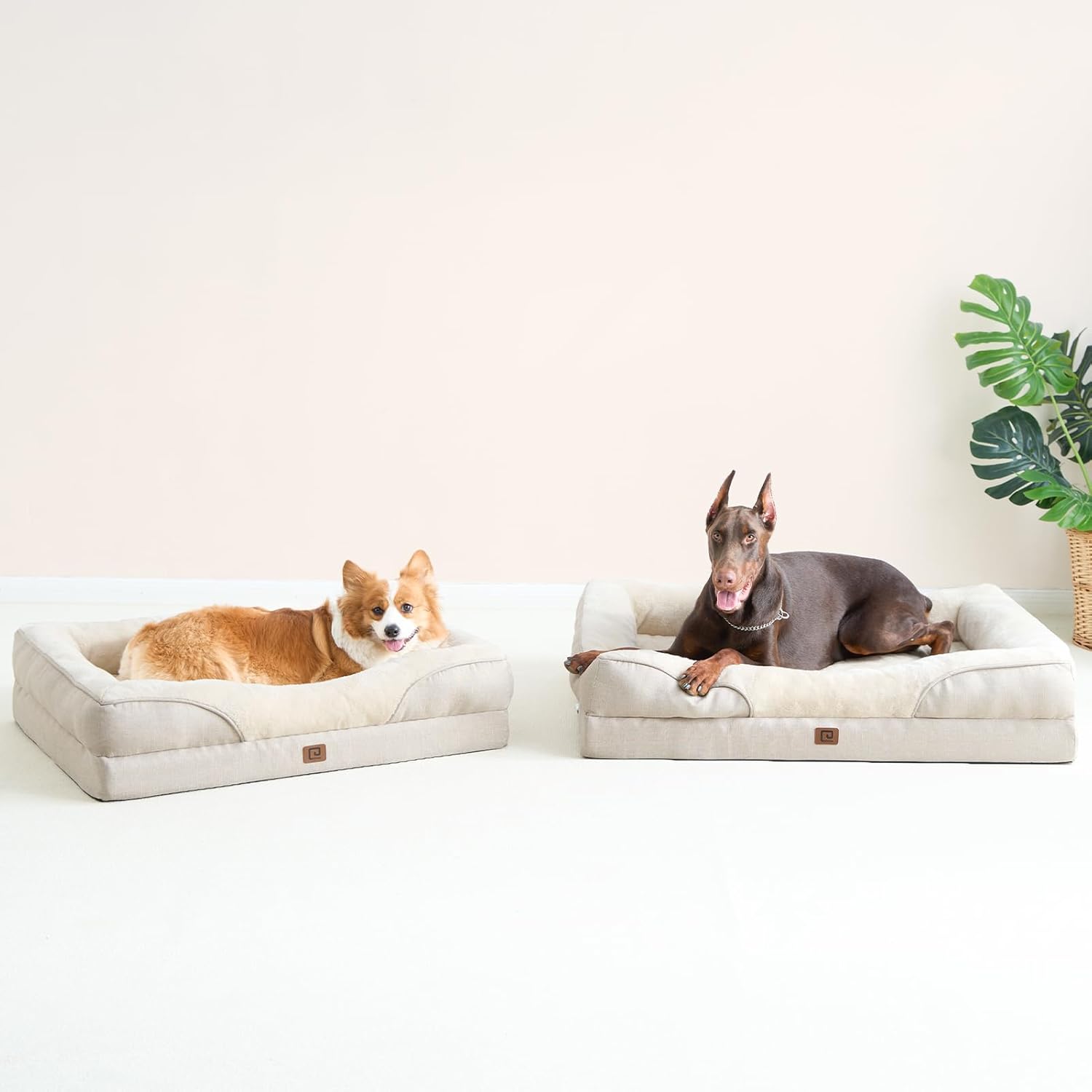 EHEYCIGA Orthopädisches Hundebett Grosse Hunde, Memory Foam Waschbar und Wasserdicht Hundekorb mit 4 Rändern, Hundesofa Hundecouch rutschfest, Beige, 106.5x76x18.5 cm